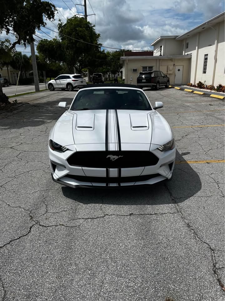 2022 Ford Mustang — photo 3